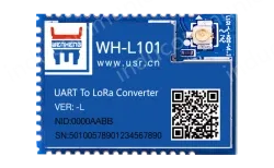 LoRa module