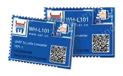 LoRa module
